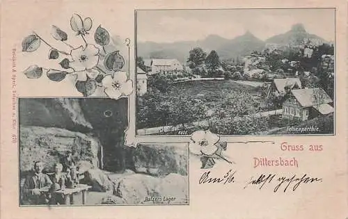 alte orig. AK Dittersbach Böhmische Schweiz Sudeten Tetschen Jetřichovice Daubitz Rosendorf Hohenleipa Balzers Lager Häuser ca 1905 Vorkrieg