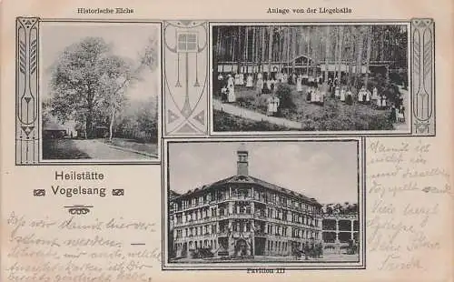 alte orig. AK Vogelsang b Gommern Zerbst Barby Magdeburg Wahlitz Vogelsang Heilstätte Baum Historische Eiche Liegehalle Pavillon 1917 Vorkrieg