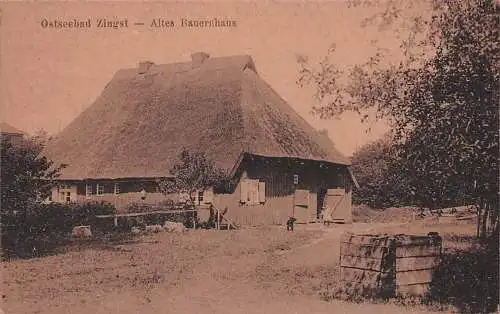alte orig. AK Zingst Ostseebad b Prerow Barth Pruchten altes Bauernhaus Vorkrieg