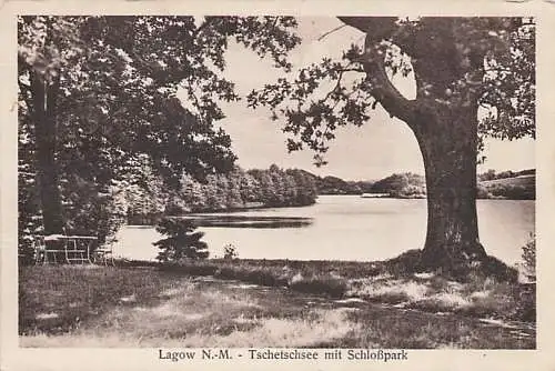 alte orig. AK Lagow i. Neumark Łagów b Schwiebus Sternberg Torzym Zielenzig Sulęcin Tschetschsee mit Schloßpark Vorkrieg