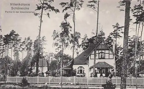 alte orig. AK Schöneiche b Rüdersdorf Erkner Strausberg Friedrichshagen Partie in der Akazienallee Häuser 1912 Vorkrieg