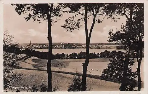 alte orig. AK Königswalde Neumark Lubniewice b Zielenzig Lagow Schwiebus Landsberg Warthe Panorama 1937 Vorkrieg
