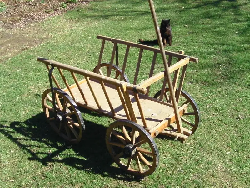 Handleiterwagen 1