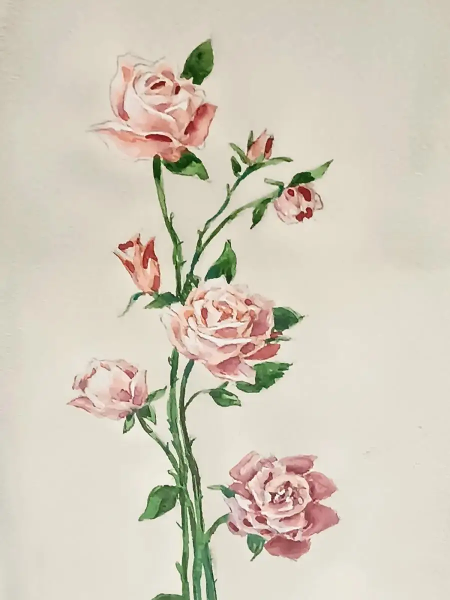H234-Blumenbild-Gemälde-Bild-Rosen-Aquarell-signiert-gerahmt-datiert- 5