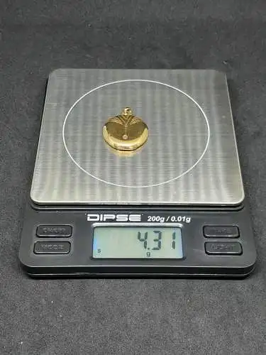 Goldanhänger - Fotomedaillon mit Rubin - 14 Karat Gelbgold - 585 Echtgold