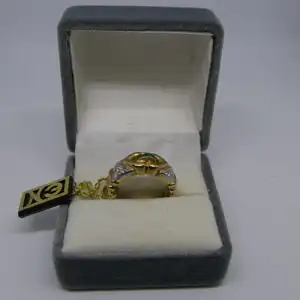 R42 - Goldring mit Edelsteinen – Ring – 14 Karat – 585 Echtgold – Goldring