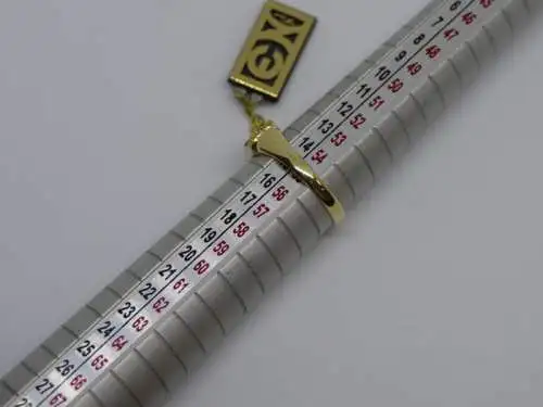 R52 - Goldring mit Edelsteinen – Ring – 14 Karat – 585 Echtgold – Goldring