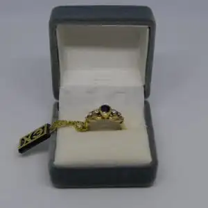 R54 - Goldring mit Edelsteinen – Ring – 14 Karat – 585 Echtgold – Goldring