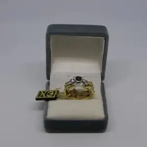 R55 - Goldring mit Edelsteinen – Ring – 14 Karat – 585 Echtgold – Goldring