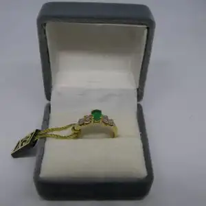 R102 - Goldring mit Edelsteinen – Ring – 14 Karat – 585 Echtgold – Goldring