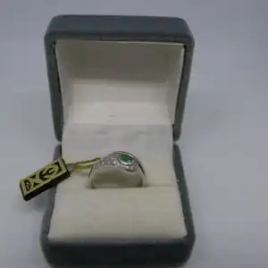 R103 - Goldring mit Edelsteinen – Ring – 14 Karat – 585 Echtgold – Goldring