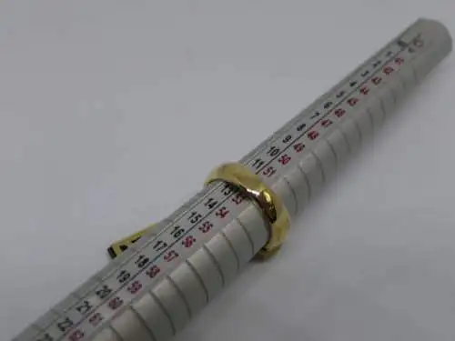 R111 - Goldring mit Edelsteinen – Ring – 14 Karat – 585 Echtgold – Goldring