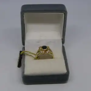 R118 - Goldring mit Edelsteinen – Ring – 14 Karat – 585 Echtgold – Goldring