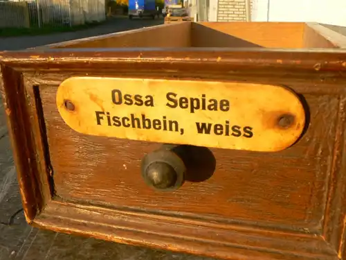 Schublade antik Weichholz Apotheke mit Schild um 1900 Jhd.