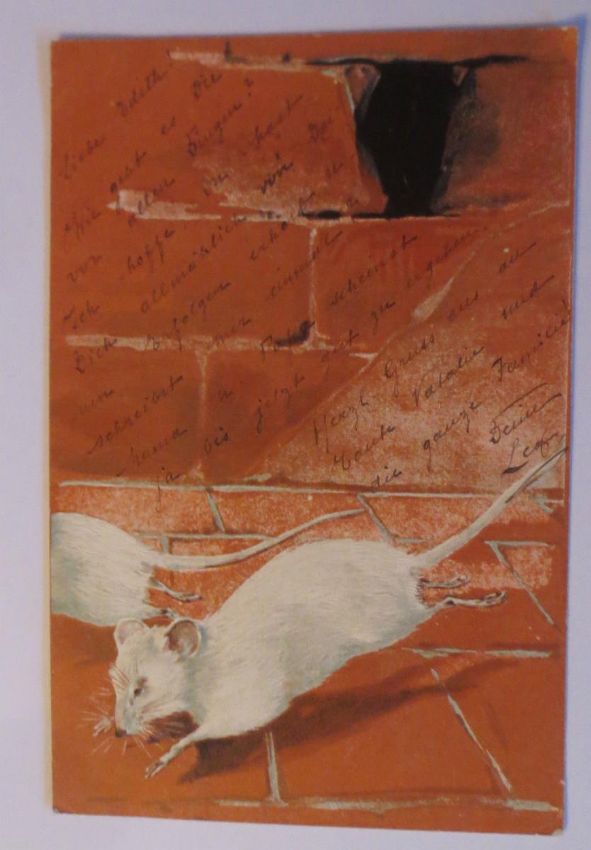 &quot;Ratten, Keller, Rattenloch&quot;1903, Prägekarte ♥ Nr. 14078