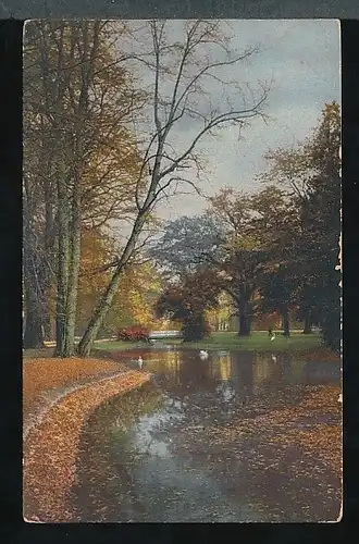 31115 AK,   Großer Garten im Herbst, Naturlandschaft bei Dresden 01067