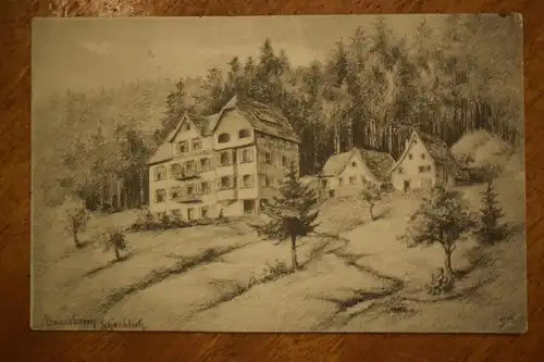 Ak Baiersbronn, Hotel Schönblick, gezeichnet S.B., um 1910 nicht gelaufen