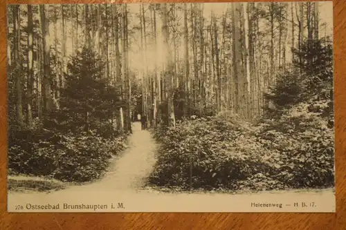 Ak Ostseebad Brunshaupten i. M., Helenenweg, um 1910 nicht gelaufen