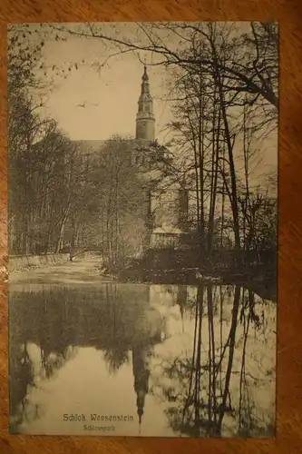 Ak Schloss Weesenstein, Schloßpark um 1919 nicht gelaufen