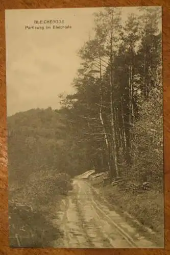 Ak Bleicherode, Parteweg im Bleichtale, um 1914 gelaufen