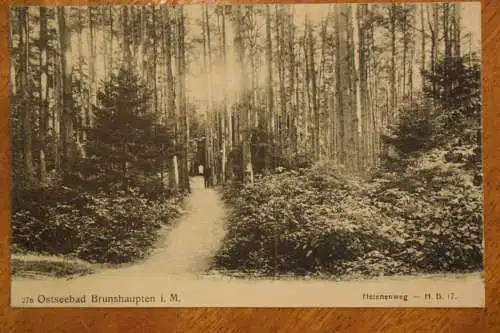 Ak Ostseebad Brunshaupten i. M., Helenenweg, um 1910 nicht gelaufen