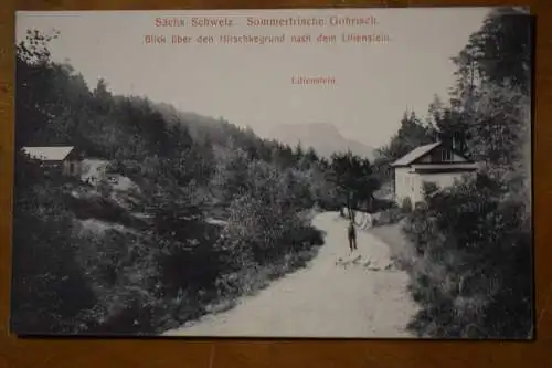 Ak Sächs. Schweiz, Sommerfrische Gohrisch, Blick über den Hirschkegrund um 1910