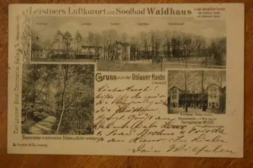 AK Halle / Saale, Leistners Luftkurort und Soolbad Waldhaus, 1902 gelaufen