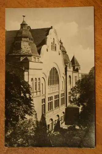 AK Halle / Saale, Volkspark, 1958 nicht gelaufen