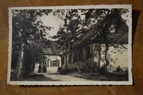 Ak Plodda, (Dübener Heide), Kirchliches Landheim, um 1930 nicht gelaufen