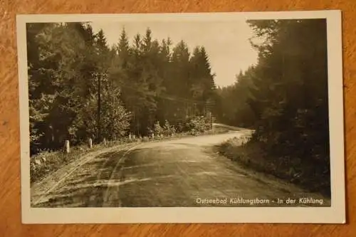 Ak Ostseebad Kühlungsborn, In der Kühlung, um 1930 nicht gelaufen