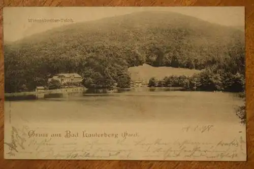 Ak Gruss aus Bad Lauterberg (Harz), Wiesenbeeker-Teich, 1898 gelaufen