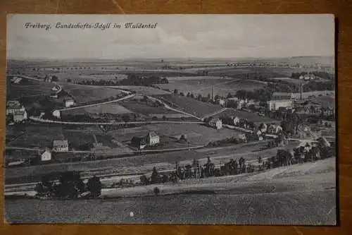 Ak Freiberg, Landschafts-Idyll im Muldental, um 1930 nicht gelaufen