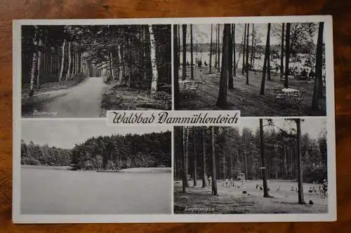 Ak Waldbad Dammühlenteich, Naturbad, Gastwirtschaft Walter Naumann 1958 gelaufen