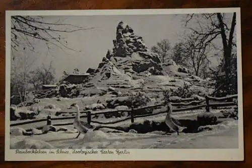 Ak Steinbeckfelsen im Schnee, Zoologischer Garten Berlin um  1930 nicht gelaufen