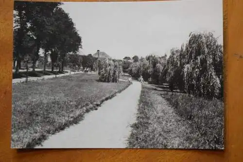 Ak Crivitz (Meckl.) Promenade am See,  Foto: Beyer, um 1966 nicht gelaufen
