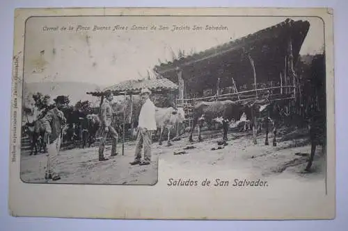 AK Saludos de San Salvador, Finca Buenes Aires Lomas de San Jacinto, um 1913