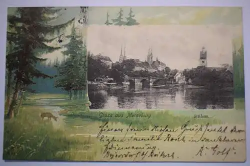 AK Gruss aus Merseburg,  Schloss, 1901 gelaufen