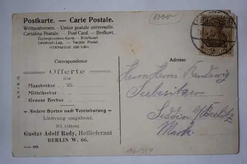 Ak Krebs - Handlung G.A. Rady, Hoflieferant, Mauerstr. 13 Berlin, 1906 gelaufen