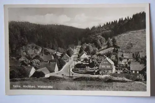 Ak Tanne, Hochharz, Waldstraße, Bahnpost 1944 gelaufen