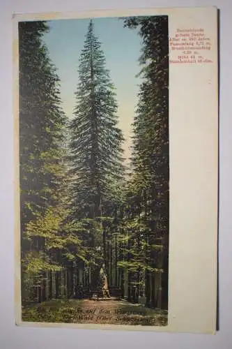 Ak Die Königstanne auf dem Wurzelberg b. Oelze Thür. Wald um 1920 nicht gelaufen