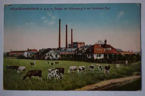 Ak Milka Nährmittelfabrik G.m.b.H., Pratau b. Wittenberg in der Goldenen Aue