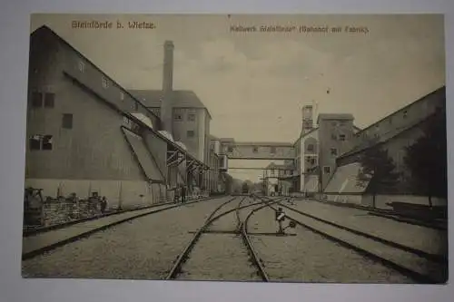 Ak Steinförde b. Wietze, Kaliwerk Steinförde (Bahnhof mit Fabrik),  um 1910