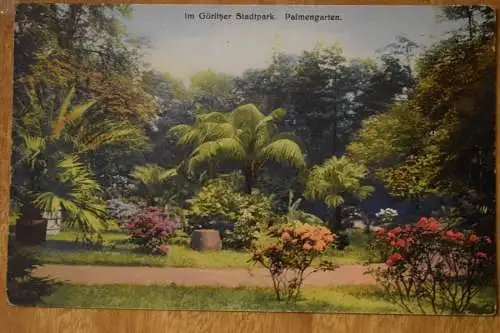 Ak Görlitz, Im Görlitzer Stadtpark, Palmengarten, um 1925 nicht gelaufen