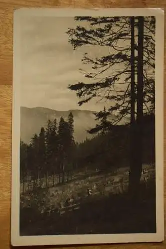 AK Krkonose Kozi Hrbety, Riesengebirge Ziegenrücken, um 1900 gelaufen