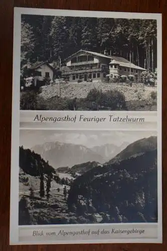 Ak Alpengasthof Feuriger Tatzelwurm, Blick auf das Kaisergebirge, um 1910 n. gel