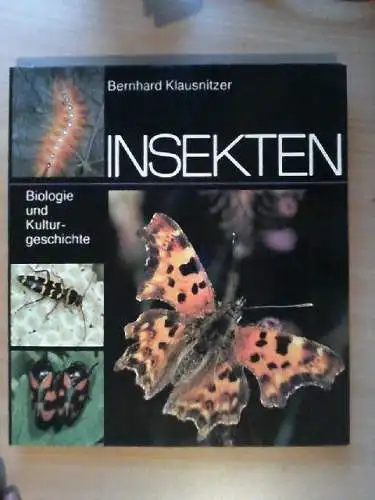 Insekten : Biologie u. Kulturgeschichte. Fotos von Manfred Förster Klausnitzer,