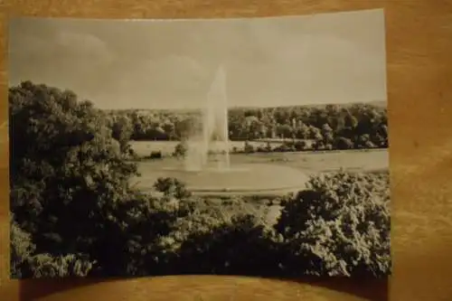 Ak Halle / Saale, Saaleaue bei Peißnitz mit großer Fontäne, 1968