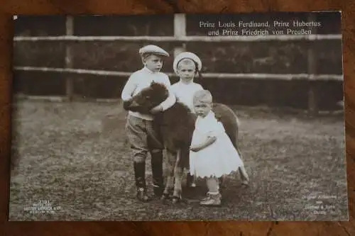 Ak Prinz Ferdinand, Prinz Hubertus und Prinz Friedrich von Preußen,  1910 n. gel