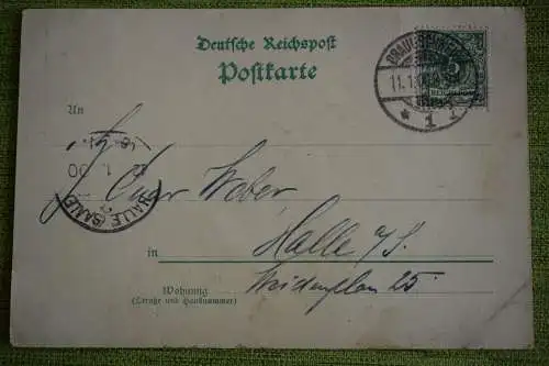 Ak Gruss aus Braunschweig, Villa Löbbeke, Herz. Schloss, Dom, Burg-Löwe 1900 gel
