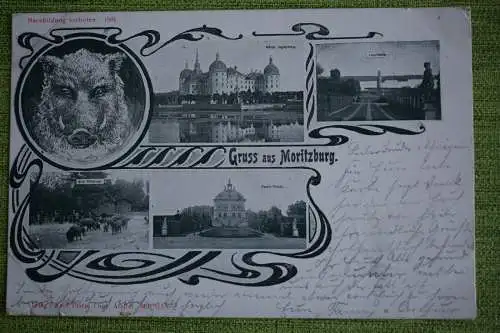 Ak Gruss aus Moritzburg, Jagdschloss, Leuchtturm, Wild-Fütterung, Fasan-P. 1901
